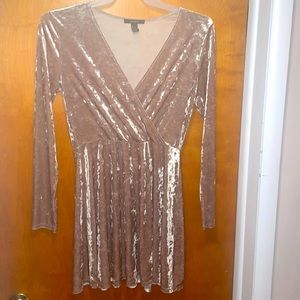 Forever 21 Suede Long Sleeve Dress